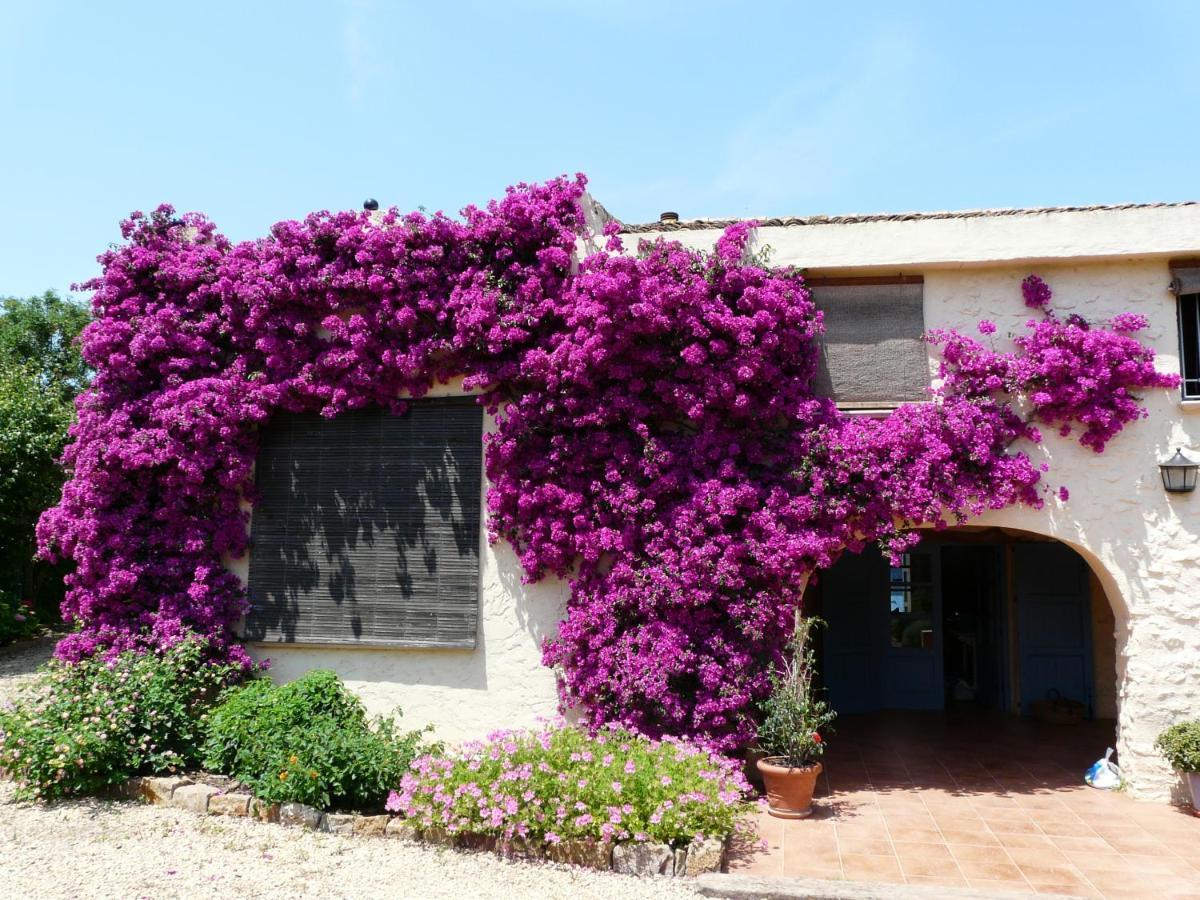 Casa Rural Con Encanto, 4 Hab Con 4 Banos Completos En Suite, Piscina Y Campo Privado Pedreguer Eksteriør bilde